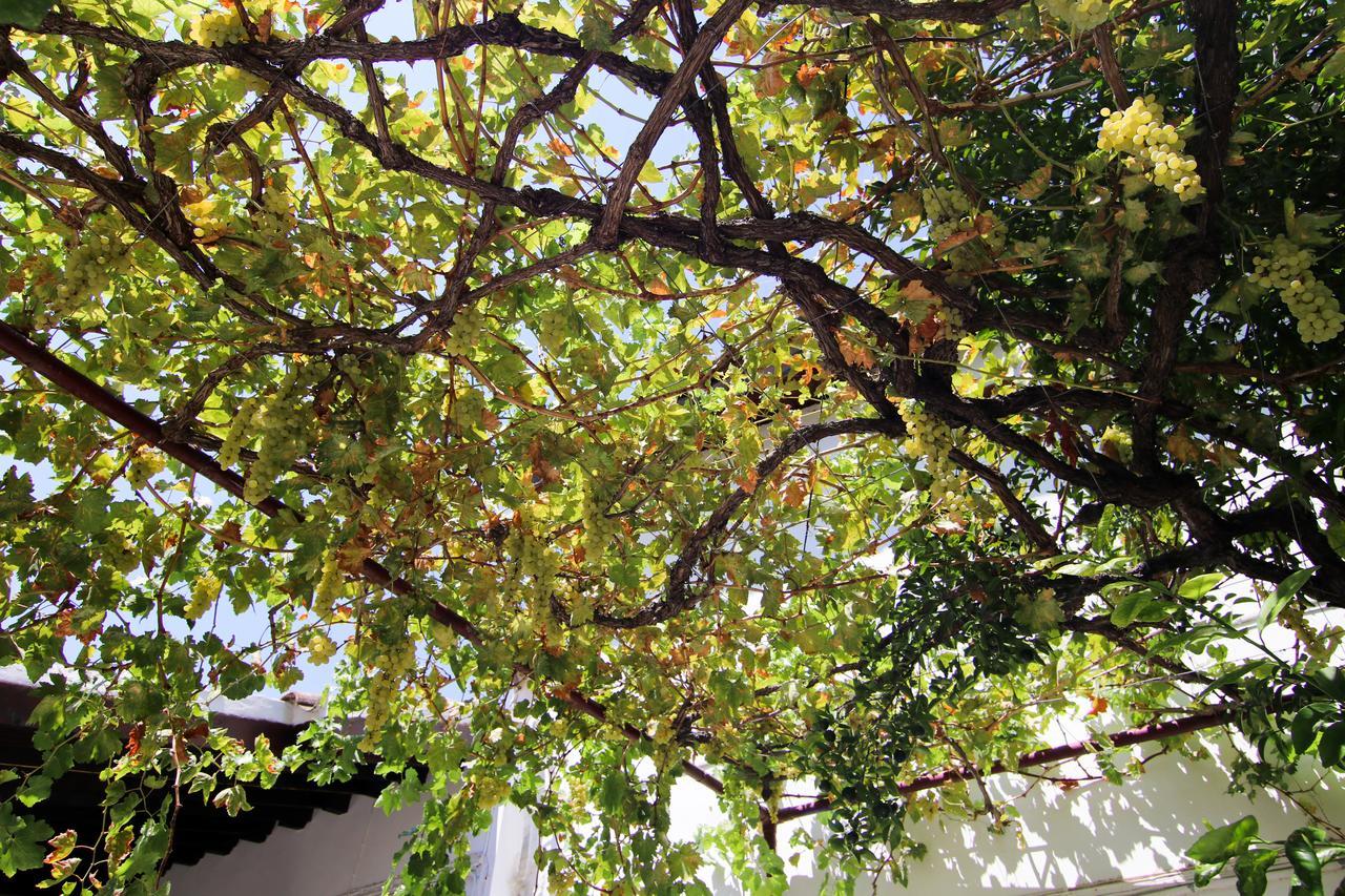 Gul Hanim House Boutique Hotel Nicosia Exterior photo